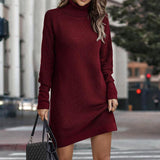 Women Straight Knitted Dresses Fashion Autumn Winter Loose Party Sweater Dresses Chic Long Sleeve High Collar Mini