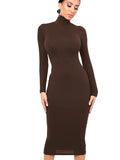 Black Turtleneck Sexy Women Dress Autumn Long Sleeve Skinny Midi Boydcon Casual Blue Plush Knee-Length