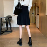 Knitted Pleated Long Mini Skirt- Outfit