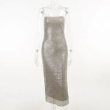 Sequin Mesh Long Dress-Outfit