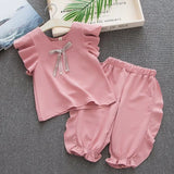 Yrs Chiffon Girls Clothes Summer Newborn Baby Girls Clothes Set 2pcs Cotton Girl Clothing T Shirt+Pants Infant Clothes