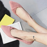 Zingj Bird Spring New Korean Version Fine Heel Suede Tip Low Heel Single Shoes Women Small Heel Large Size Black Work Shoes Women-Outfit