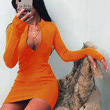 Fashion Women Sexy Bodycon Dress Autumn High Collar Long Sleeve Slim Fitness Dress Elegant Ladies Casual Pencil Dress