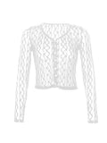 Sheer Lace Long Sleeve Crop Blouse- Outfit