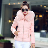 New Winter Dress Big Wool Collar Cotton-Padded Jacket Female Short Style Hooded Down Cotton-Padded Jacket Coat Fashion Slim Warm Cotton-Padded Jacket-Outfit