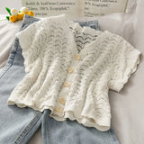 summer new lace shirt women's hollow thin style temperament versatile fashion short-sleeved