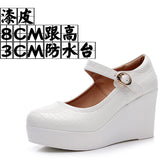 Leather Stone Slope Heel Single Shoe Round Head Light Mouth Work Shoes Thick-Soled Waterproof Table Model Show High Heels