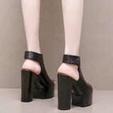 Heel 14 Cm Roman Sandals Women's Banquet Wearing Fish-Mouthed Shoes Thick-Soled Waterproof Trolley Model Model Show