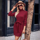 Autumn And Winter Women's Casual Solid Color Knit High-Neck Long-Sleeved Dress