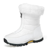 Boots Women's Shoes 2025 New Plus Thick Autumn Winter Women's Boots Sports Leisure Warm Cotton
