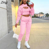 Autumn Fleece Pink 3 Three Piece Sets Tracksuit Women Outfits Sweatsuits Long Sleeve Hoodies Crop Top And Pants Sets
