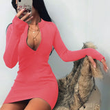 Fashion Women Sexy Bodycon Dress Autumn High Collar Long Sleeve Slim Fitness Dress Elegant Ladies Casual Pencil Dress