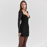 Long Sleeve Plunge Neck Mini Dress- Outfit