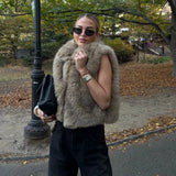 Women's Clothing 2025 Autumn And Winter New Fashion High-End Environmental Protection Fur