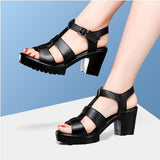 T-T-Slace Sandals Waterproof Table Thick Soles 41-43 Yards Cheongsam Runway Shoes Large-Size Coarse Heel Waterproof Table Women's