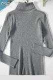 2023 Basic Turtleneck Women Sweaters Autumn Winter Warm Pullover Slim Tops Ribbed Knitted Sweater Jumper Soft Pull