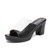 Women Slipper's 2021 Ladies Summer Slippers Genuine Leather Shoes Women High Heels Fashion Summer