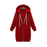 2020 Autumn Winter Long Sleeve Women's Hooded Zipper Cardigan Sweater Casual Straight Solid Pocket Ladies Long