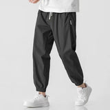 Workwear Men's Loose Trousers 2025 Spring And Summer Fashion Nine-Point Halen Pants Fashion Men's Casual