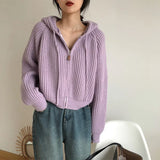 Vintage Zip Up Knitted Hooded CardiganOutfit