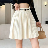 Pleated High Waist Belted Mini Skirt- Outfit