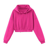 2021 Autumn Winter women fashion long sleeve Fleece Hooded Sweatshirts + Fleece warm pants Solid color