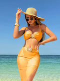 2024 New Sexy Solid Three-Piece Mesh Dress Swimsuit
