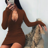 Fashion Women Sexy Bodycon Dress Autumn High Collar Long Sleeve Slim Fitness Dress Elegant Ladies Casual Pencil Dress
