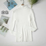 Basic Turtleneck Women Sweaters Autumn Winter Thick Warm Pullover Slim Tops Ribbed Knitted Sweater Jumper Soft Pull