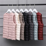 Hot Style Autumn Winter New Down Vest Female Thin And Short Money Without Collar Vest Fashion Portable Coat Slim Tide-Outfit
