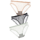 Women Sexy Panties Lace Underpants Low-waist Panties Mesh See Through Perspective Briefs Female Fashion Underwear