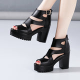 Thick-Heeled Roman Sandals Women's 2023 Summer New Thick-Soled Waterproof Platform Fashion All-Purpose Fish Mouth Size