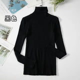 Basic Turtleneck Women Sweaters Autumn Winter Thick Warm Pullover Slim Tops Ribbed Knitted Sweater Jumper Soft Pull