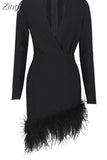 V-Neck Long Sleeve Feathers Bandage Mini Dress Winter Women Black Feathers Asymmetrical Slim Dress Evening Party Club