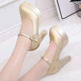 High-Heeled Shoes, Wedding Shoes, Coarse Heels, Bridal Shoes, Waterproof Platform, Wedding Dress, Bridesmaid Shoes, Cheongsam, Model, Show, Single Shoe