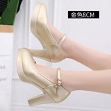 High-Heeled Shoes, Wedding Shoes, Coarse Heels, Bridal Shoes, Waterproof Platform, Wedding Dress, Bridesmaid Shoes, Cheongsam, Model, Show, Single Shoe