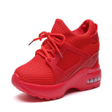 Spring New Style Bailai Sports Shoes Korean Version Student Net Cloth Shoes Heighten Women's Shoes Thick Soles Travel Leisure