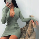 Fashion Women Sexy Bodycon Dress Autumn High Collar Long Sleeve Slim Fitness Dress Elegant Ladies Casual Pencil Dress