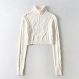 Zingj Knit Turtleneck Sweater Female Temperament Slim All-Match Solid Color Short Crop Long Sleeve Knit Jacket-Outfit