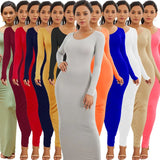 Sexy Long Polyester Spandex Dress Fashion Sleeve