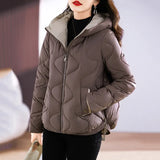 Cotton-Padded Clothes Women Short Style 2024 New Bright Face Fashion Foreign Style Show Thin Thin Hooded Cotton-Padded Jacket Women Cotton-Padded Jacket Coat-Outfit