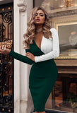 V Neck Dress Women Long Sleeve Print Skinny Wrap Bodycon Party Dress Spring Autumn Sexy Slim Office Ladies Dresses