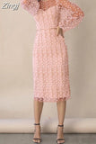 Women Elegant Fashion Long Dress Long Sleeve O Neck Slim Sheath Package Hip Ladylike Embroidered See-through Mesh Vestidos