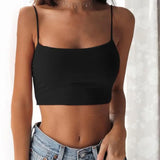 Summer Crop Tank Top Women Fashion Deep V Lace Bras Embroidery Floral Tank Top Bra Wrapped Chest Camisole Padded
