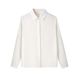 New True Silk Korean Version Of The Versatile Commuter Basic Shirt Women's Long Sleeve Pure Color Chiffon