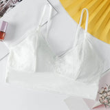 Sexy Lace Lingerie Wireless Bra For Women Padded Push Up Bralette Female Brassiere Soft Backless Fashion bras