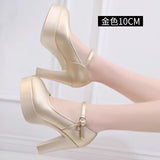 Leather Tip Tip 15CM Catwalk Ultra-High Heel Women's Thick-Sed Waterproof Table Single Shoe With Shallow Model Performance