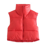 INS 9 Color Double Pocket Standing Collar Cotton Vest 2021 Autumn And Winter New Double Color Slim Cotton Jacket Vest Top-Outfit