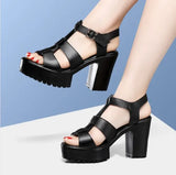 T-T-Slace Sandals Waterproof Table Thick Soles 41-43 Yards Cheongsam Runway Shoes Large-Size Coarse Heel Waterproof Table Women's