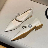 Zingj Pointed Mary Jane Shoes Female Late Evening Wind Gentle Retro Word Buckle Lady Temperament Thick Heel Low Heel Shoes-Outfit